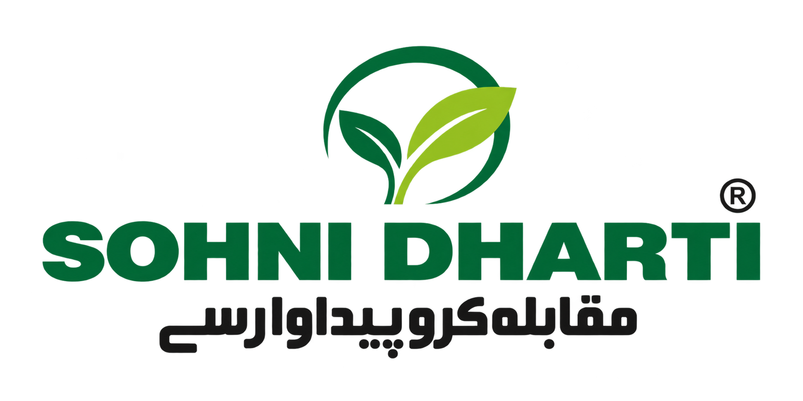 Sohni Dharti